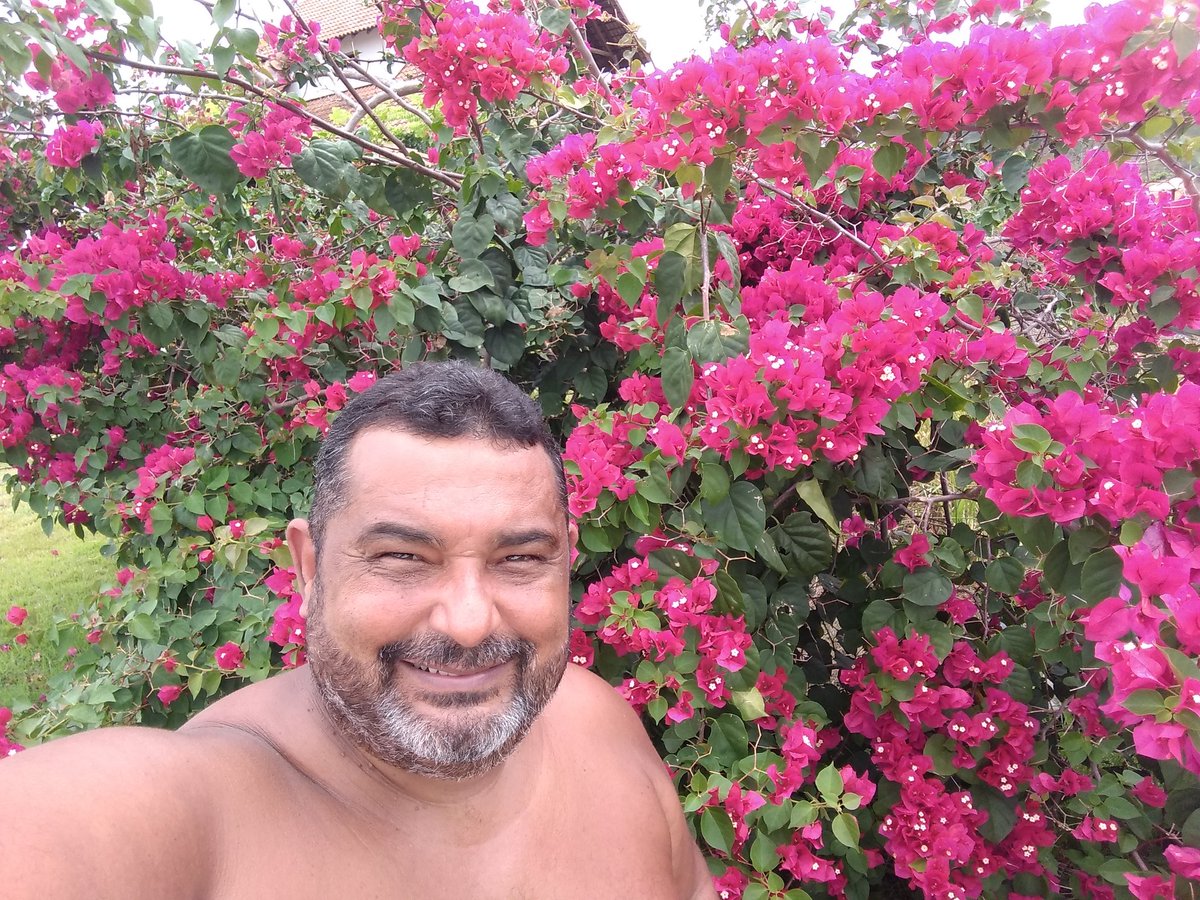 coronelrochase's tweet photo. Acordei com uma vontade enorme de vestir Rosa.
Cuidando do jardim.
#CoronelRocha
@RicMarques_RM @elenalandau @edumufarej @Cathala @caleromarcelo @EmiliaDefensora @CarlosTufvesson @jose_simao @RenovaBR https://t.co/DiPoe0iRhh