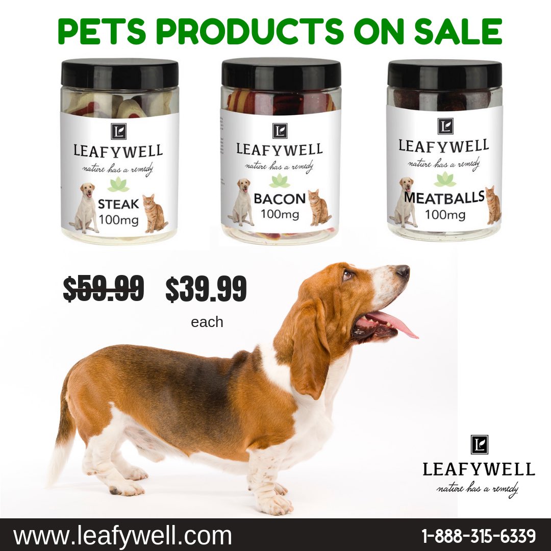 HempifiedR's tweet photo. 🏃💨 Hurry! Our entire Pet Products line is ON SALE! We know you love your pets and so do we. Buy online:
https://t.co/uBuzkhiJlf
.
.
#lovepets #cbdforpets #petscbd #relaxyourpet #painkillerforpets #welovepets #pets #cbd #cbg #leafywell https://t.co/3boQL5K9zV