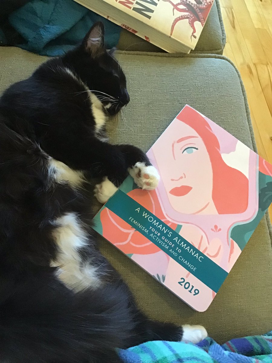 MaynardLara's tweet photo. @SubPress @KatWithSword #picsofmeowsandbarks https://t.co/F2JbU0taSk