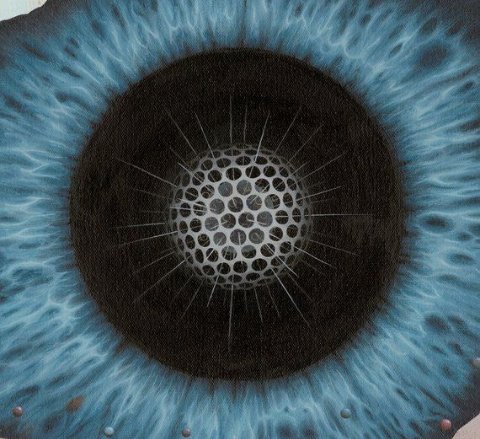 EileenPCarry's tweet photo. If another cannot address you privately, #understand then, that their public criticism is only for attention. Don't take it personal any longer ...

#forgiveyourself
#forgiveothers
#forgiveeverything

We are all born suduced into the same "spell" of self-ignorance. #truth* https://t.co/ZQcfZv9xRA