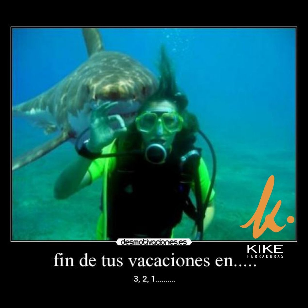 kikeherraduras's tweet photo. El próximo lunes 14 de enero nos vemos de nuevo, con todas las #herraduras disponibles para tu #caballo, junto a #clavos, #heno, barras de tiro, #jaulas, #aperos https://t.co/nP5RUUV3ai