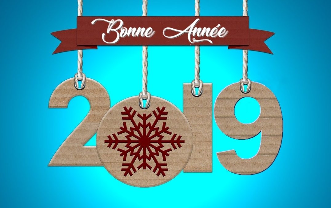 O_Cyto's tweet photo. O'CYTO vous souhaite une bonne année 2019 !! https://t.co/f0FzTDKOth