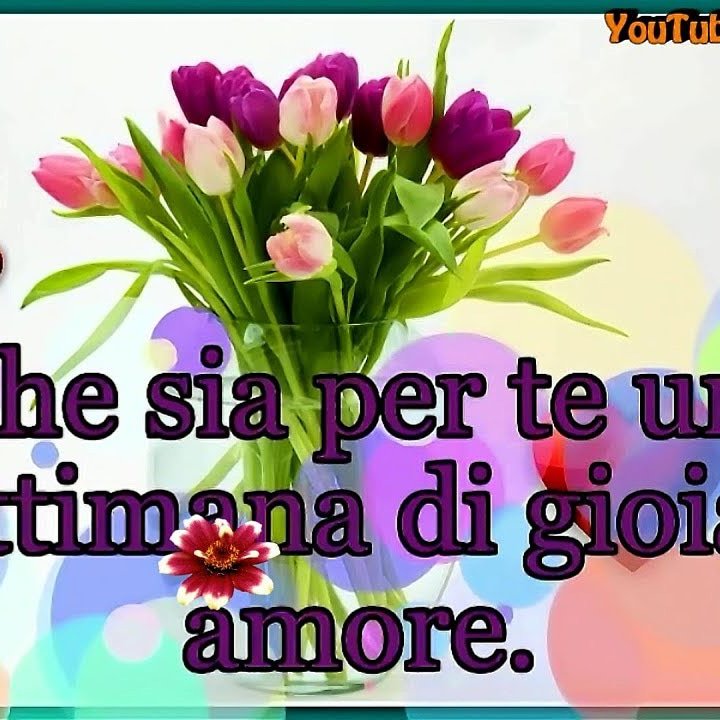 MessinaHilary's tweet photo. https://t.co/ab9MFS5enV
