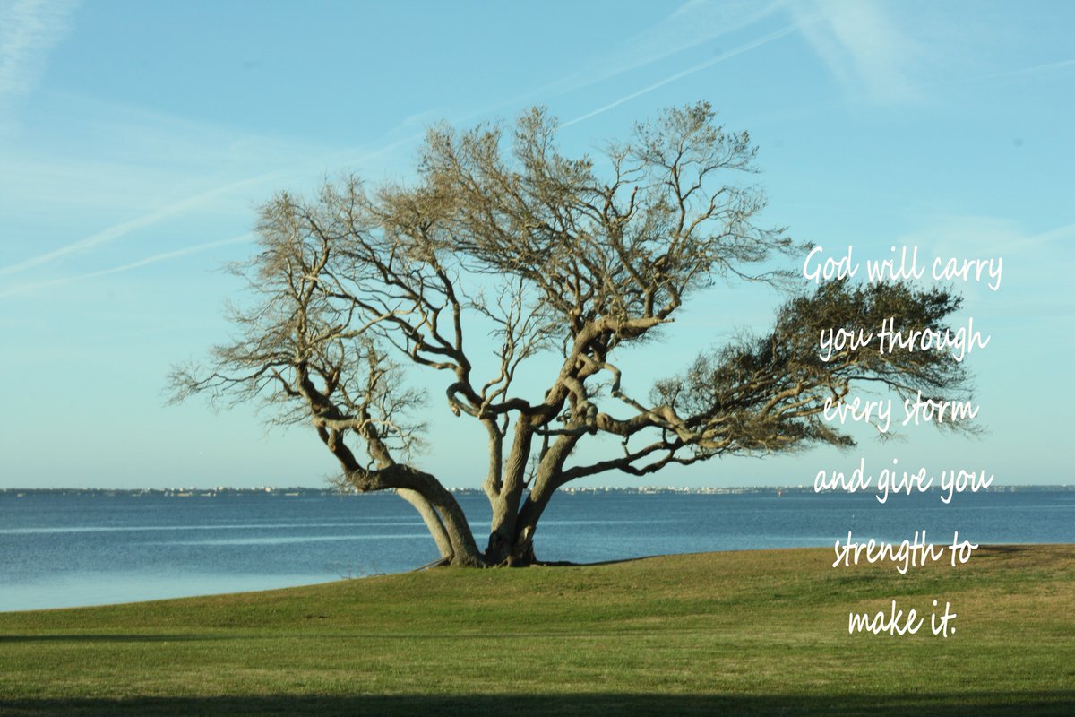 Camp Albemarle (@campalbemarle) on Twitter photo 