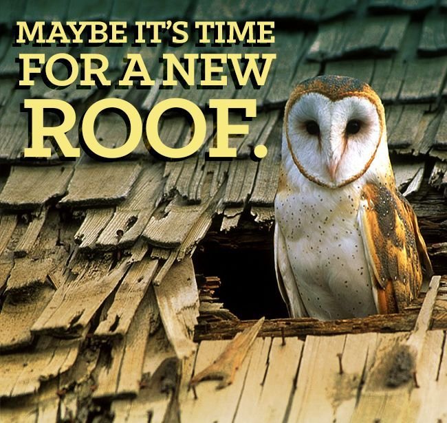 mbangeroofing's tweet photo. If your #roof is leaking or badly damaged, you may need to replace it. #construction

Call us now! (954) 914-1927 https://t.co/gip8VnyxdY