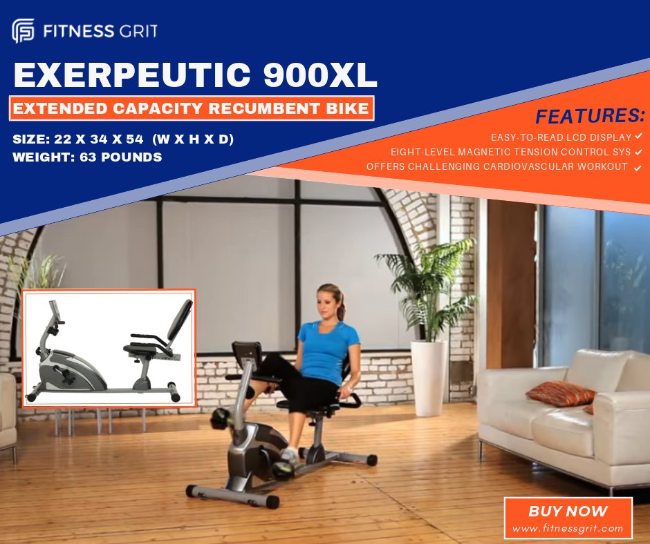 Exerpeutic 900xl High Capacity Magnetic Recumbent Bike | Bike Pic