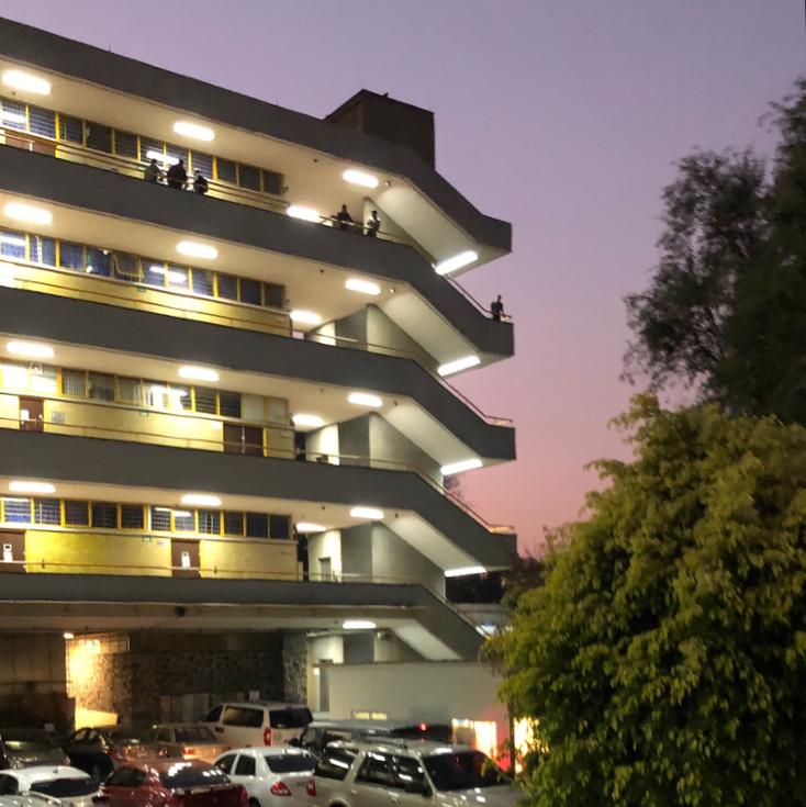 Hoy vuelve a la vida esta belleza.😍
#FIUNAM ¡Buenos días!