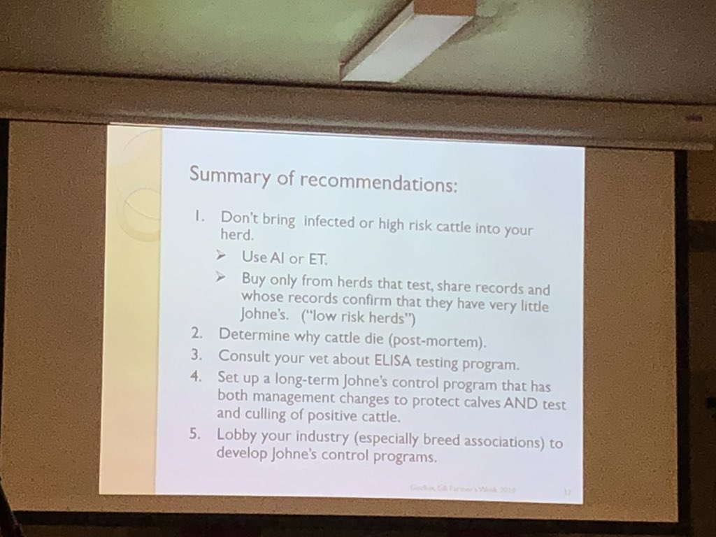NatNewby1's tweet photo. @GodkinAg remember that calves get infected through fecal-oral route at young age. Difficult to test young cattle, so often don’t “catch” infected until later (after leave herd?) #GBFW19 #BeefDay what can you do? See list of recommendation #talktoyourvet https://t.co/EP1YGSytiJ