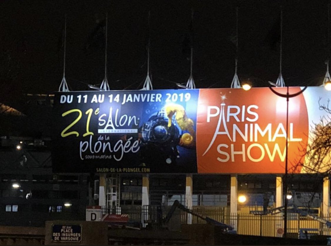 Salon_Plongee's tweet photo. ⏳ Nous y sommes presque ! J-4 ✨
#ParisDiveShow #SalonPlongee https://t.co/pCxekw8lIp