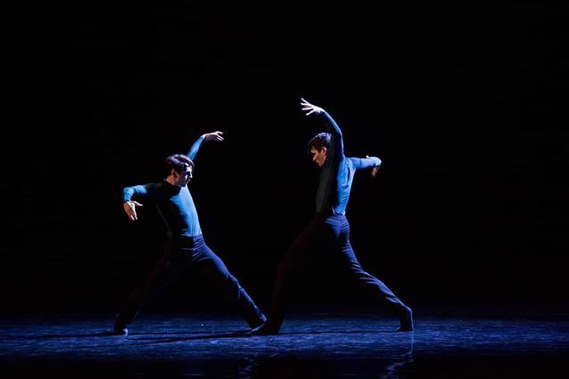 HubbardStreet's tweet photo. @thedancingpotter & @craigersb89 in #AlejandroCerrudo's OUT OF YOUR MIND (2018). Photo https://t.co/ZVVSd4U34J https://t.co/mWSMusmlfo