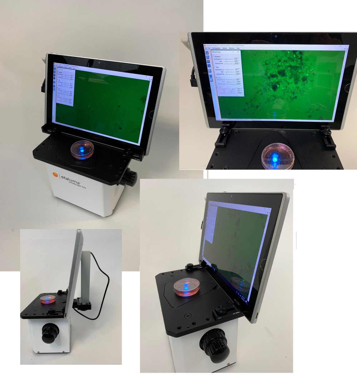 Based on the response from the tablet mount configuration built by Stewart Humble (Ward Lab at NIH (NINDS)) for sterile picking in the hood, we can now offer the Tablet Mount accessory for our LS460/560/620 scopes.  Contact us for details