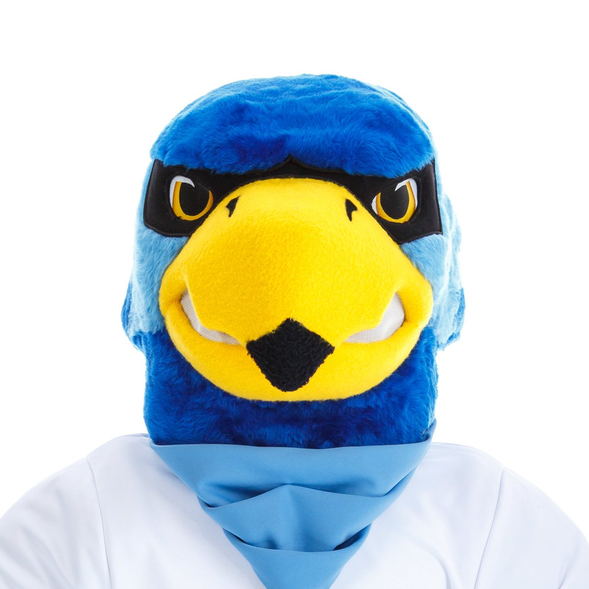 SeminoleState's tweet photo. Welcome back, welcome back, welcome back. #GoStateGoFar https://t.co/c0VwHOp2DD