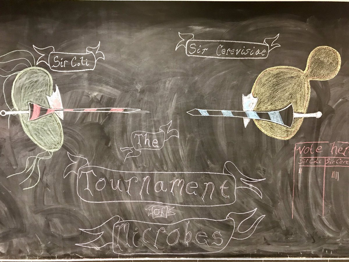 SteTavano's tweet photo. Sir Coli vs Sir Cerevisiae at @ISTAustria #ISTlife #lablife https://t.co/wOkGJLo6GY