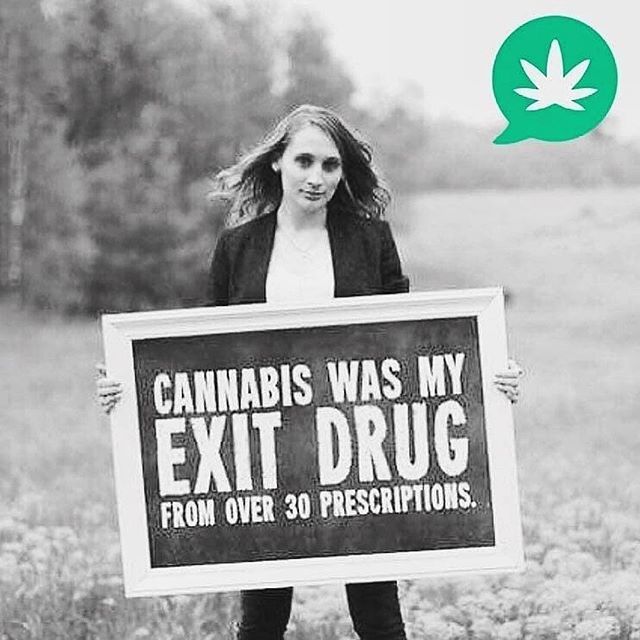 SignsOfTheMarch's tweet photo. π Is marijuana legal where you live? How has it affected your community? If not, do you want it to be? -
-
#Signsofthemarch πΈcredit: @sparktheconversation @hempactivist
#HempActivist #medicalmarijuana #legalizemarijuana #420 #opiodcrisis #prescripti⦠https://t.co/VCFsB5Qs8q https://t.co/faBlePZWI5