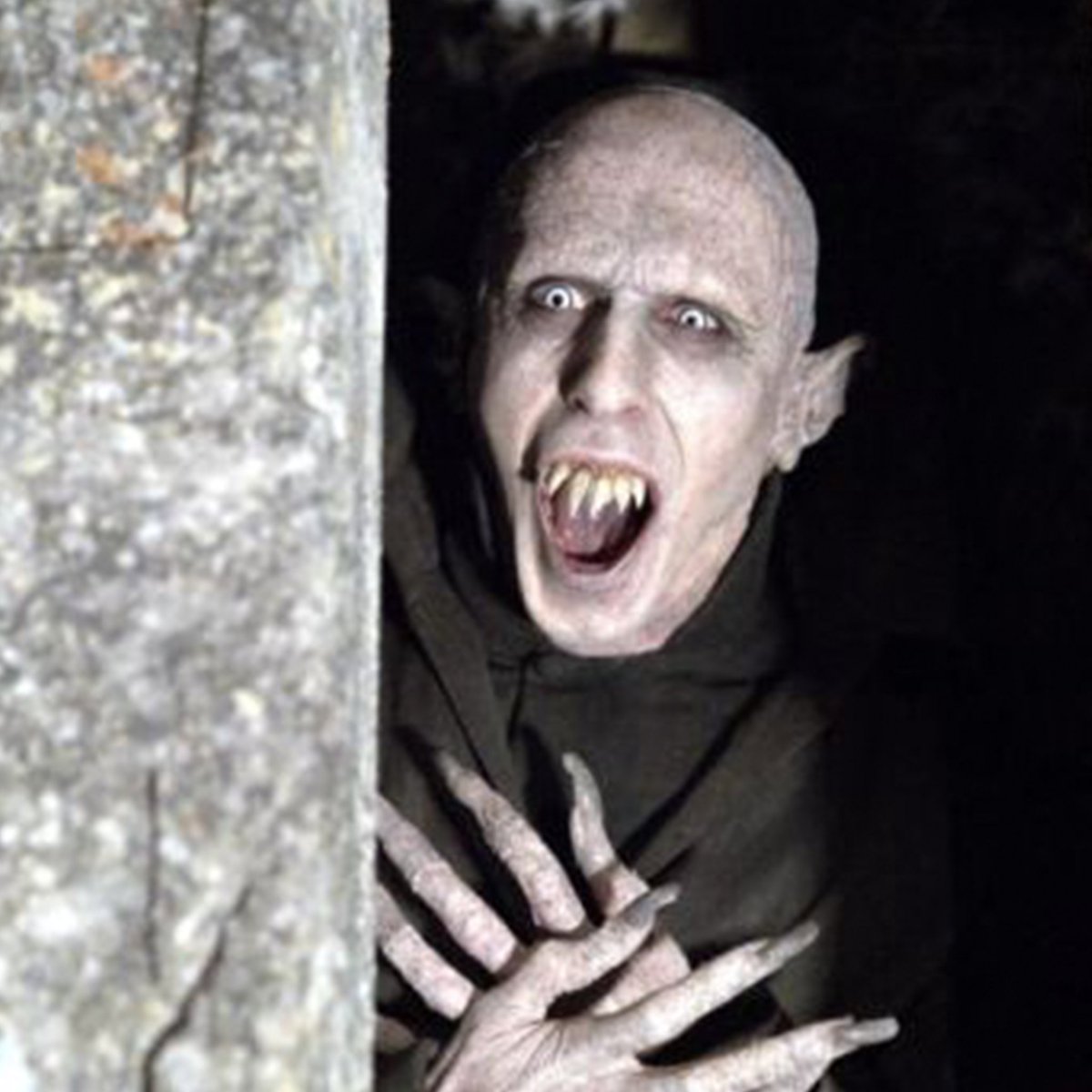 MyMissDirection's tweet image. Me Monday morning... #mondays