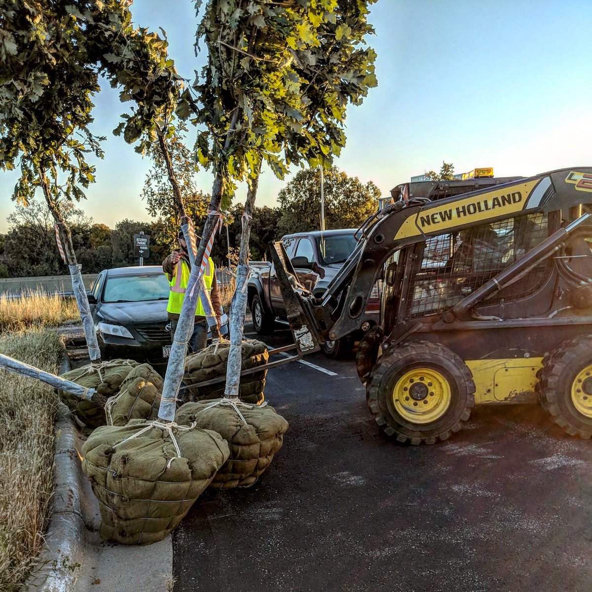 Add value to your home with trees! Are you thinking about adding a tree to your property or landscape this spring? Find out what trees work best for the region you live in! 
extension.umn.edu/tree-selection…