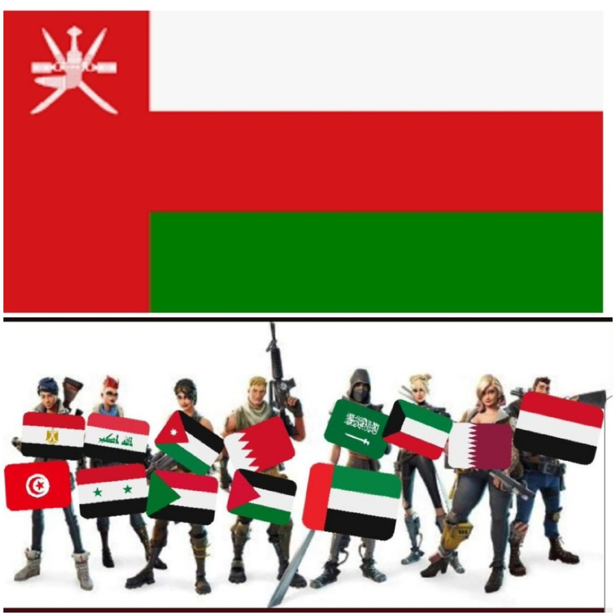 Nadia78102129's tweet photo. لعدم وجود علم عمان أتقدم بالاسف
وجميع اعلام البلدان العربية على راسنا 
#fortnitemiddleeastserver https://t.co/PzvDnykEsV