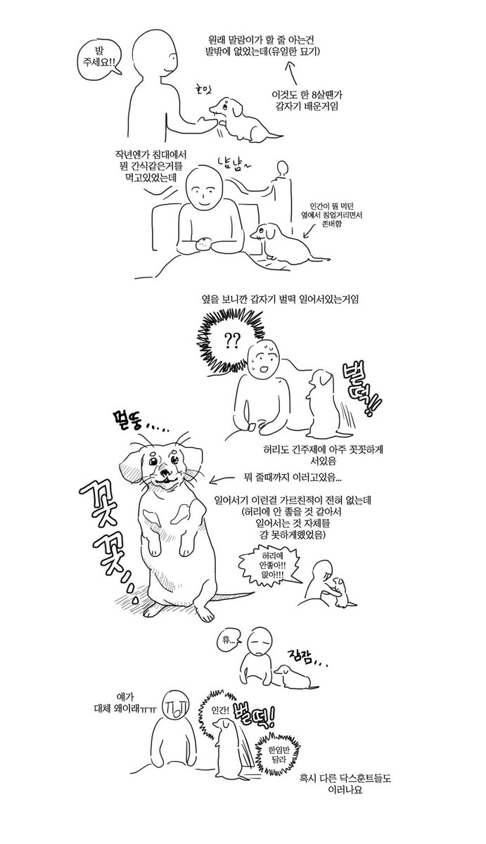 comet_xio's tweet photo. 늘그막에 나쁜 재주를 배운 말랑이 https://t.co/uyhg6HSLLw