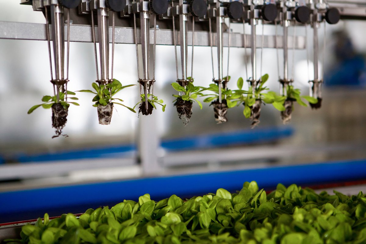 ISDAgov's tweet photo. As a follow up to Indiana’s trade mission #INIsrael, Indiana and Israeli companies are invited to submit projects to strengthen the #agbiosciences and #cybersecurity sectors.

Learn more here: https://t.co/fNqZn7jNth https://t.co/r7uMf8S0Kn