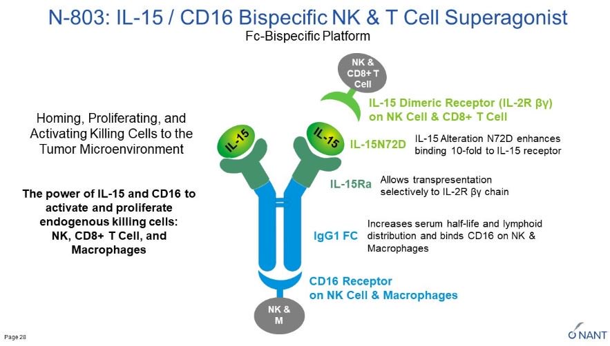 anandprabu's tweet photo. #NantCell betting big on N-803, their IL-15/CD16 bispecific asset #JPM19 https://t.co/bU4tK3jexm
