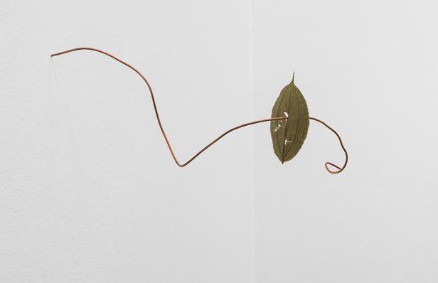 Tenderpixel (@tenderpixel) on Twitter photo This is the Facebook event to join us for the opening of the wonderful Joana Escoval's solo show <a href="/Tenderpixel/">Tenderpixel</a> next Tuesday, 15 January, from 7pm #TheSunLovers #JoanaEscoval #Tenderpixel >>> facebook.com/events/2103545… This is the Facebook event to join us for the opening of the wonderful Joana Escoval's solo show <a href="/Tenderpixel/">Tenderpixel</a> next Tuesday, 15 January, from 7pm #TheSunLovers #JoanaEscoval #Tenderpixel >>> facebook.com/events/2103545…