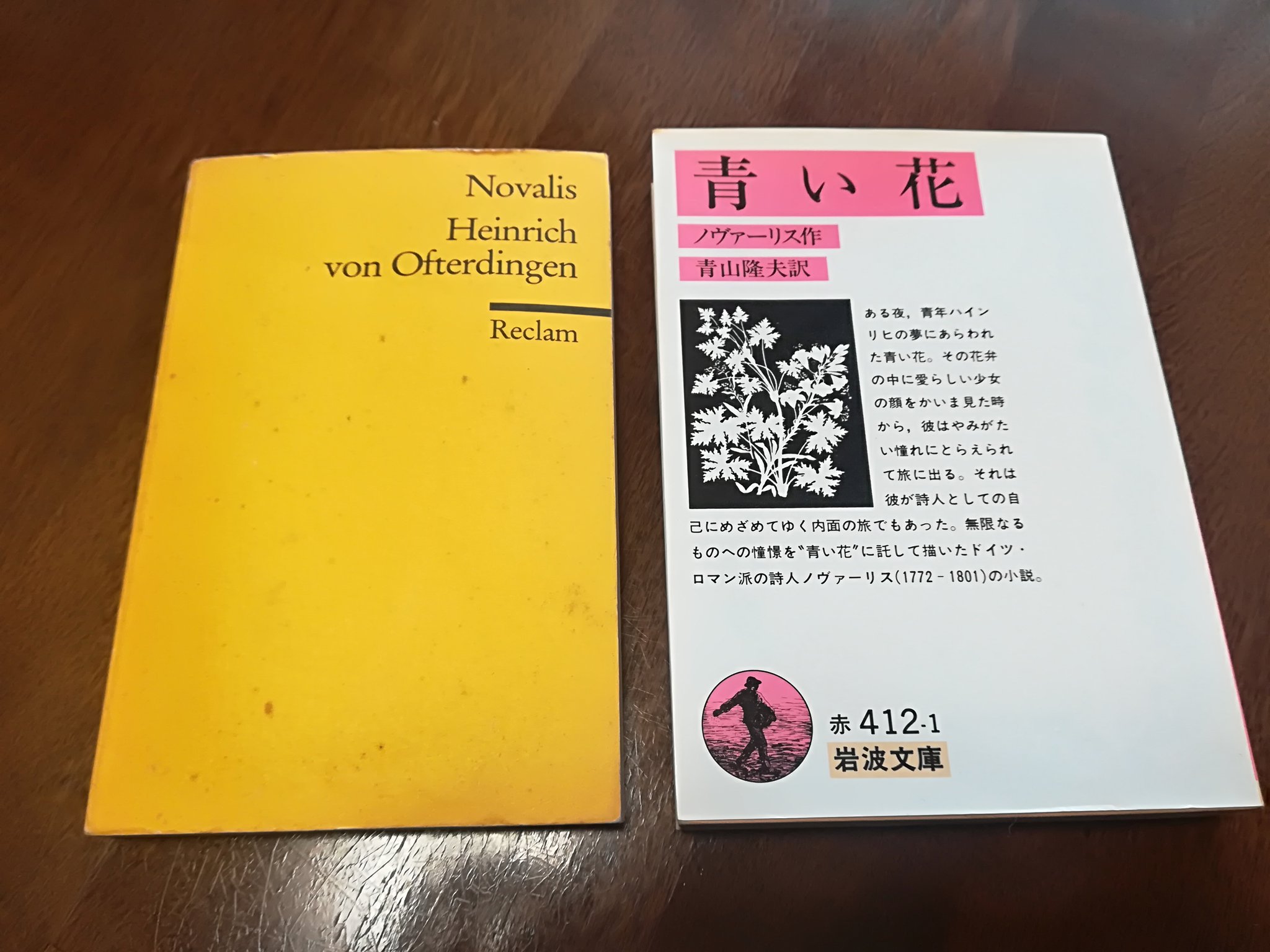 Noppheros 3 ノヴァーリス 青い花 岩波文庫 ドイツロマン派の代表作という触れ込みで安易に手を伸ばしたらその儘どっぷりと 左は熱にうかされた流れで求めたレクラム版ですが僕に詩心の無いことを教えてくれました 泣