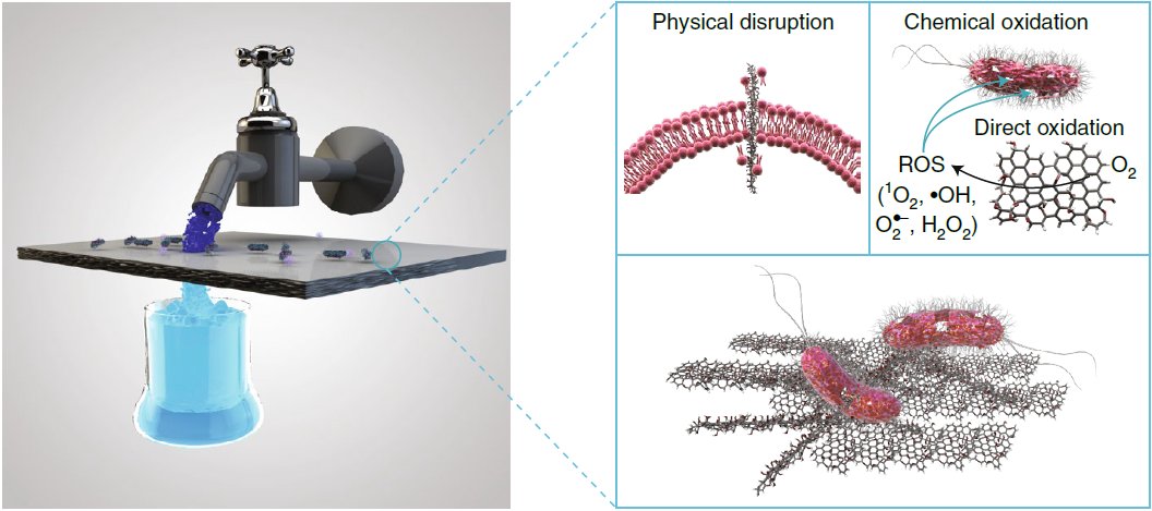 3/3 A review on when and in what way graphene structures can be used for the environment doi.org/10.1038/s41565…