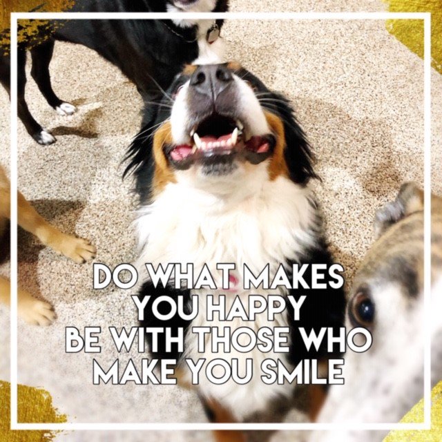 Here's a smile for your Monday, in case you need one. Courtesy of Zazu ♥