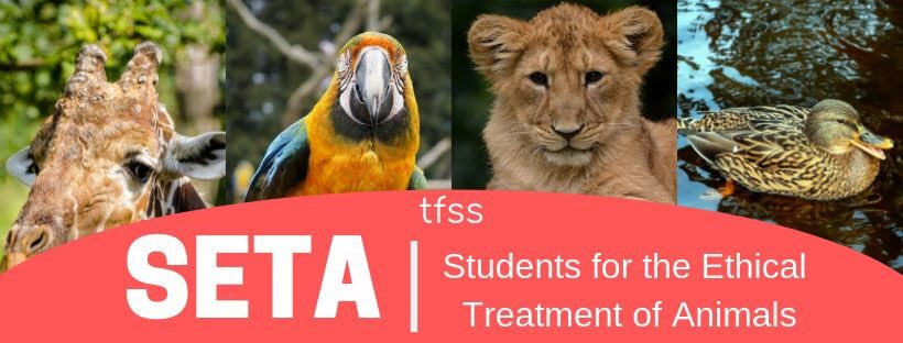 tfssSETA's tweet image. SETA 2018-19 is now up and running on Twitter! Let’s spread the word and stop animal cruelty once and for all!