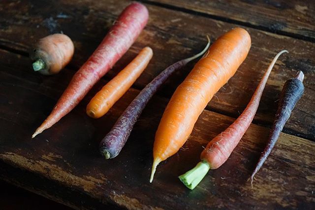 jeremy fox tweet media