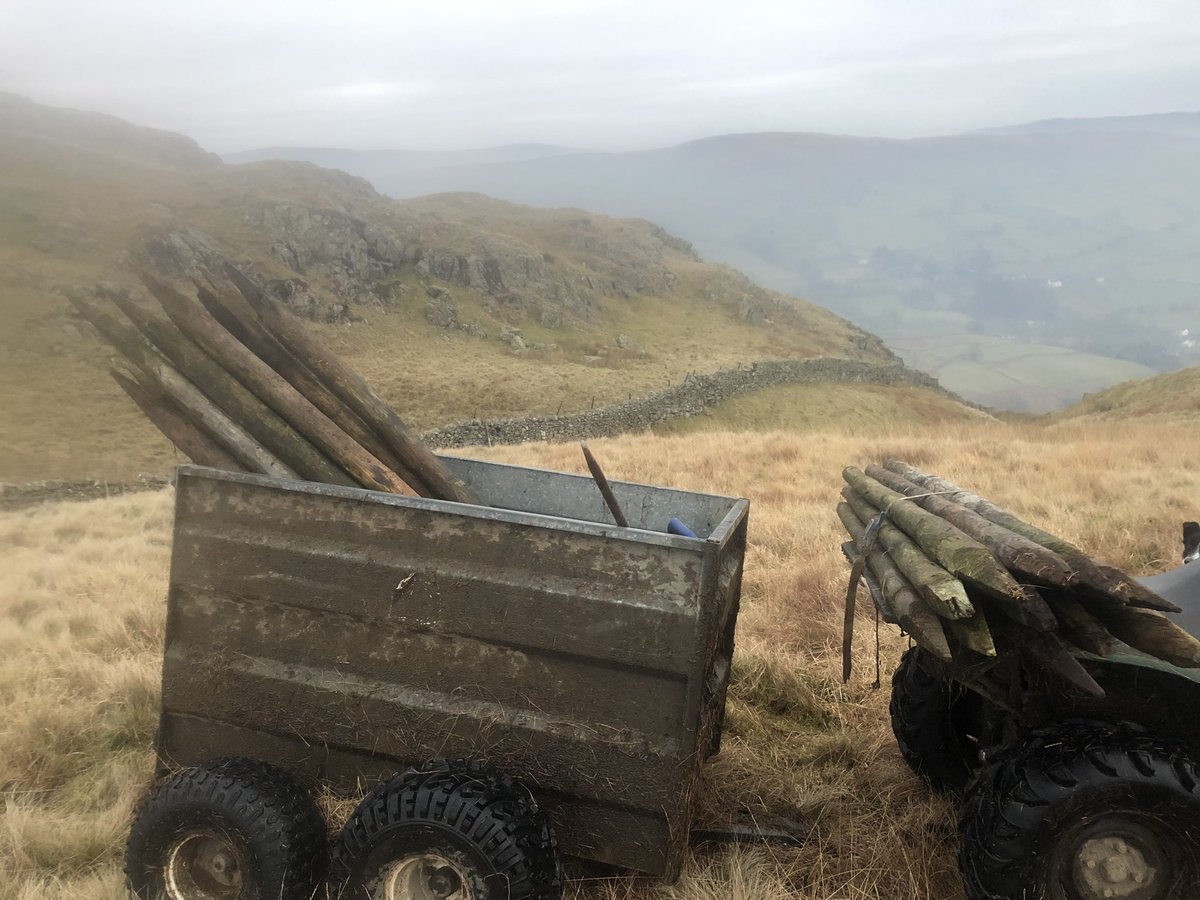 Tony Booth tweet media