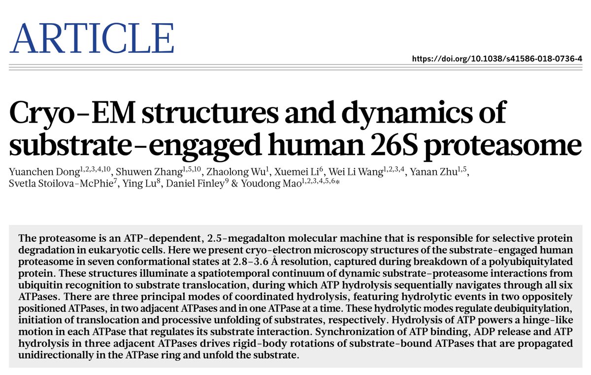 gdubeaux's tweet photo. Best way to start 2019? With a #GDJournalClub of course!!! Today, I found a very interesting paper published in Nature describing how the proteasome degrades its substrates. Very interesting! #ProteinDegradation #StructuralBiology #CryoEM https://t.co/PnBxjHUiCg https://t.co/t8wK9TGKG6