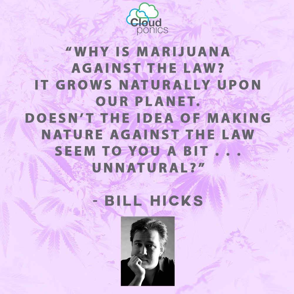 cloudponics's tweet image. Grow your own with CLOUDPONICS 🌱 
•
#quote_of_the_day #quotesaboutlife #billhicks #cannabisquotes #Cloudponics #Hydroponics #HydroponicsSystem #cannabisgrow #cannabisoil #cannabisdaily #ganjafarmer #marijuanagrowers #marijuana #thc #cbd #medicinalmarijuana #medicinalcannabis