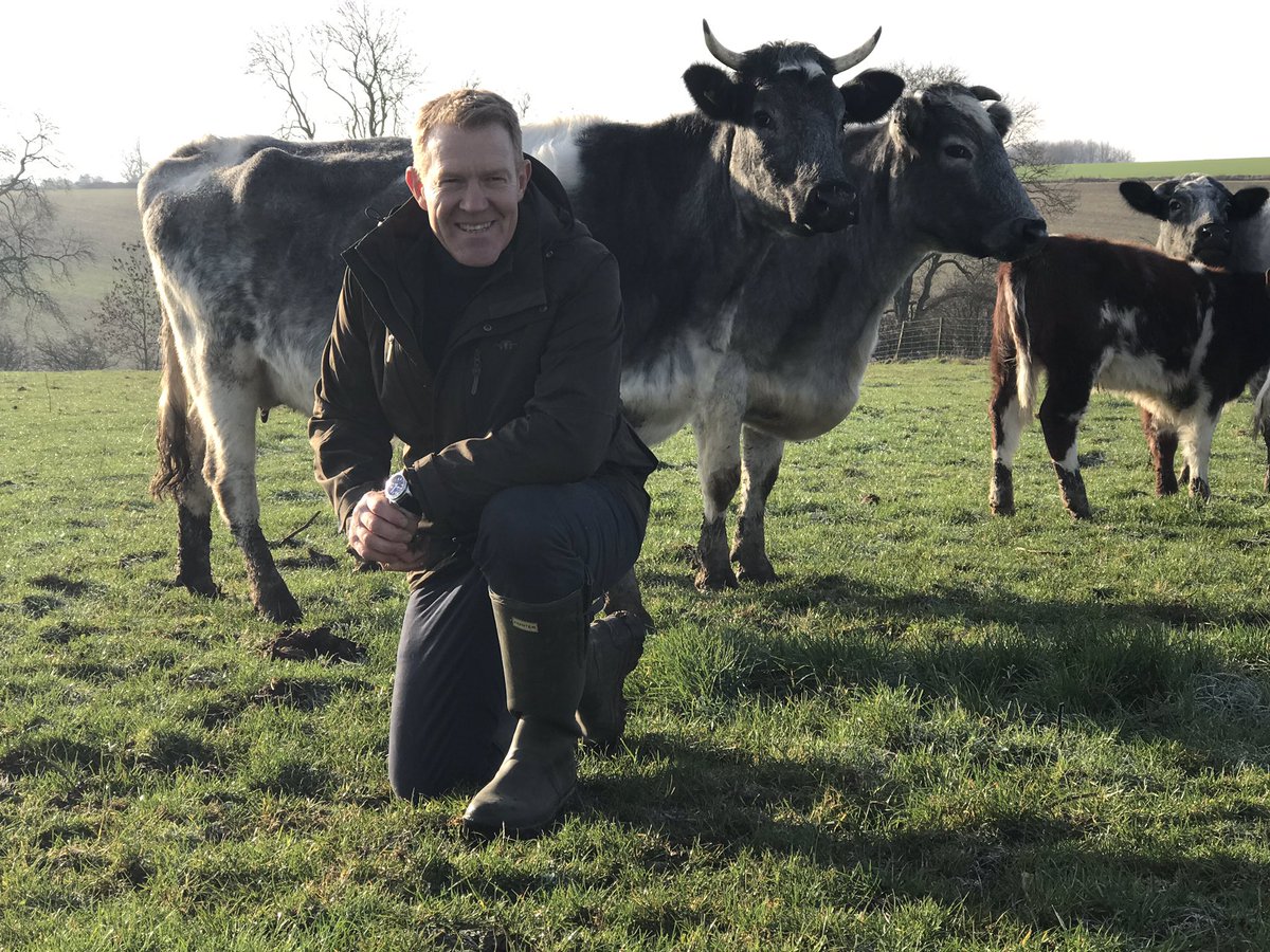 SybilRuscoe's tweet photo. On tomorrow’s @BBCFarmingToday saving the rare &amp; beautiful #Albion cattle with @AdamHenson &amp; @RuthRBST #cattle #farming https://t.co/Vu6xIkKWEZ