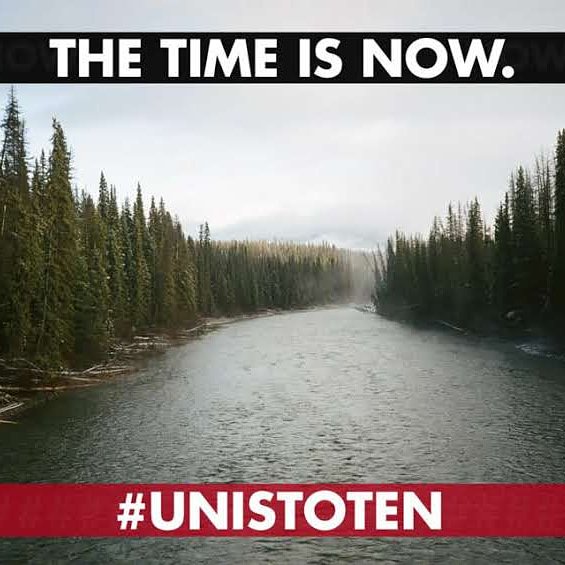 Pam_Palmater's tweet photo. Stand in solidarity with Unist'ot'en who are peacefully occupying their unceded lands as part of sovereign Wet'suwet'en Nation. #nativeland #nativesovereignty #unistoten #wetsuweten #unistotenstrong #wetsuwetenstrong #unceded #aboriginaltitle #freepriorinformedconsent #FPIC #rise https://t.co/876jufJTe6