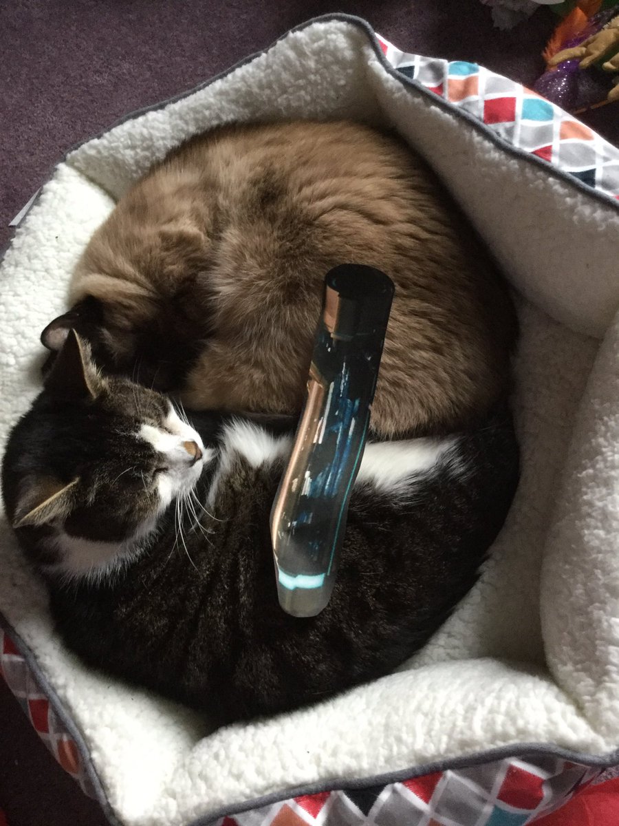 MickiMarvelFan's tweet photo. @fantasmic_10 So cute!! Wakanda PURR-ever! https://t.co/8TPyW6TFmS