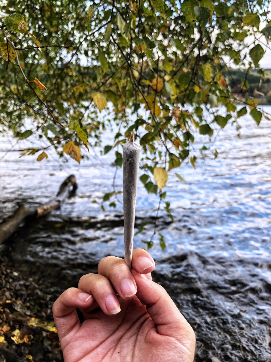 PuffinPaperClub's tweet photo. Fuck Mondays🙄
#puffinpaper #hemp #purehemp #hemppapers #papers #rollingpapers #smokingpapers #uksubscriptionbox #ukcannabiscommunity #ukcannabissocialclubs #ecofriendly #smokingweed #ukcannabis #ukdank #ukloud #uk420 #stonergirl #stonergirls #stonedgirls #stonedgirl #ukstoner https://t.co/RTybi8J0ma