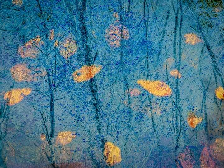 photosforgiving's tweet photo. Woodland Dream
#abstractimage #abstract  #colorsofautumn  #abstractogram #forest_abstract  #abstractphotography     #impression #icm #intentional_camera_movement #blur #essence #impressionistphotography  #forest #tree    #coloursoffall #tree_beauty #woodland  #blue #wexmondays https://t.co/yXwQd9Vyyx