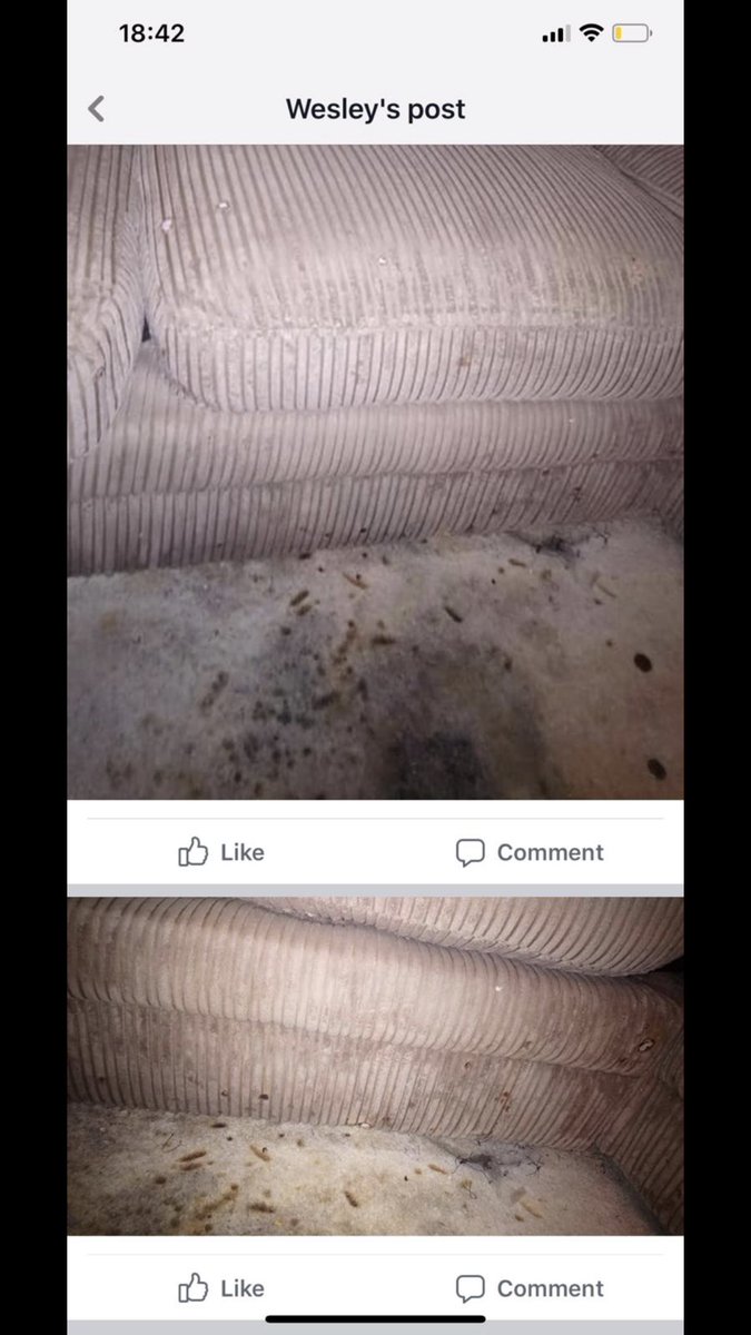 jayhousein's tweet photo. Thanet is honestly a whole different breed of people 😂😭 https://t.co/LzTCR7EJQ3