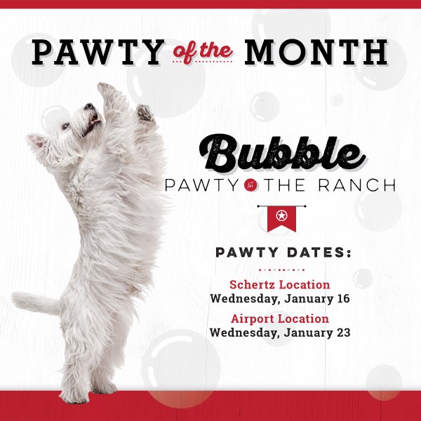 PawderosaRanch's tweet image. Join us for our Bubble Pawty at the Ranch! Schertz- Jan. 16th &amp;amp; Airport- Jan. 23rd!Call us at 210-404-9941 to RSVP #DogsOfSATX #DogBubbles #SanAntonio #SanAntonioParty #DogParty #DogFriendlySanAntonio