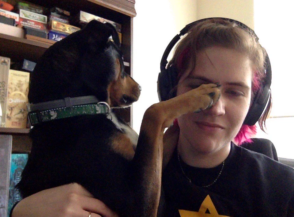 Pup on lap during a meeting and being very demanding