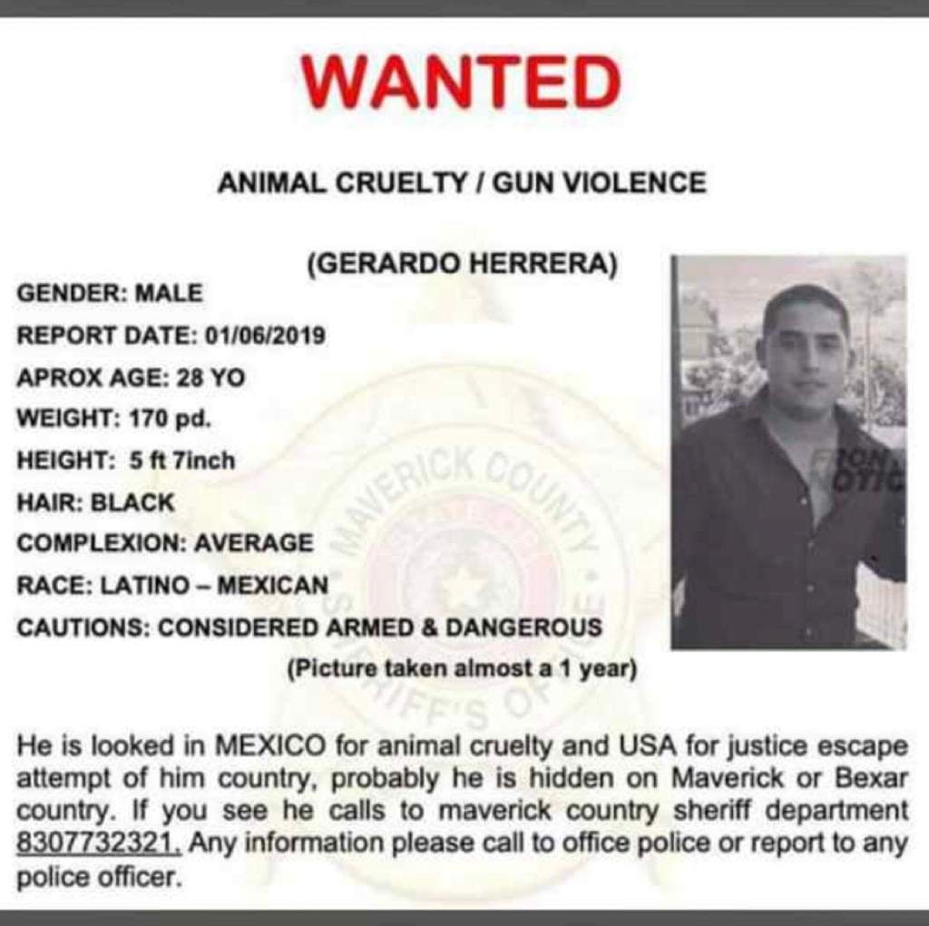 mitzygeezy's tweet photo. Este tipo mato cruelmente a un perrito lo llamo y el 🐶creyó k le daría alimento y se acercó pero lok ese inhumano iso fue apuñalarlo sin motivo causándole la muerte y anda arrancando así k difundir  #JusticiaParaLosSinVoz #NiUnpeludoMenos k pague @MundoPatitas @mundopatitasChi https://t.co/mmYCpSdfIm