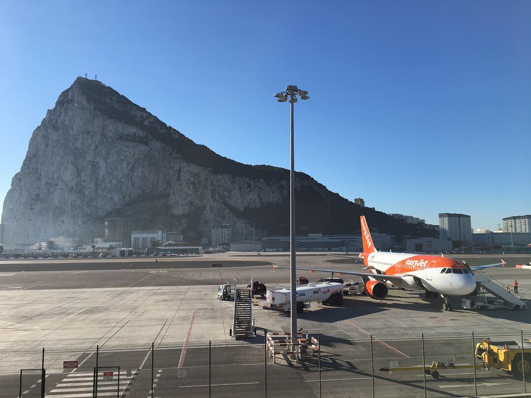 Zuidam UK Ltd tweet media