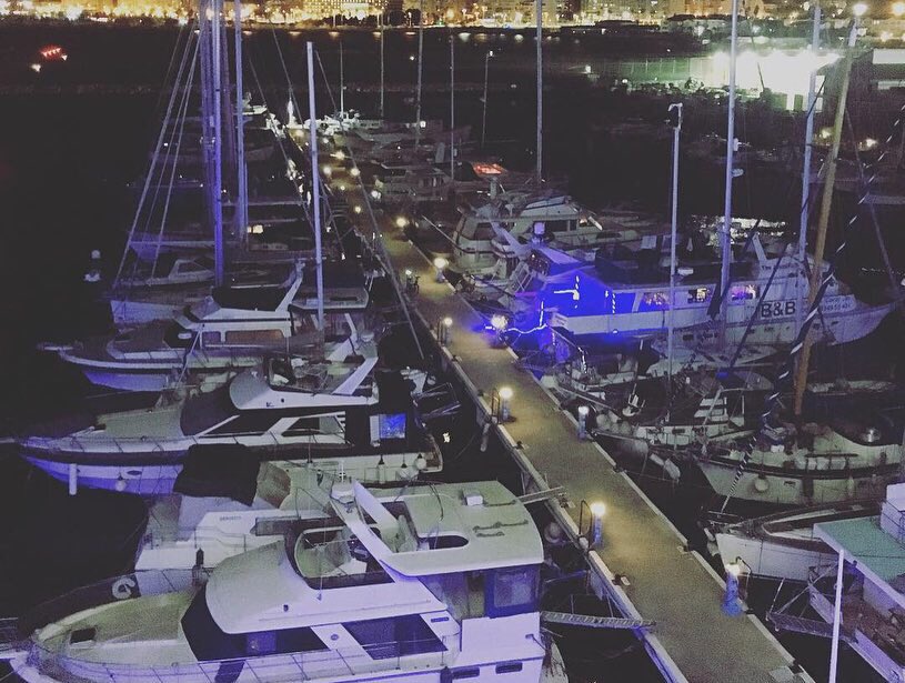 Zuidam UK Ltd tweet media