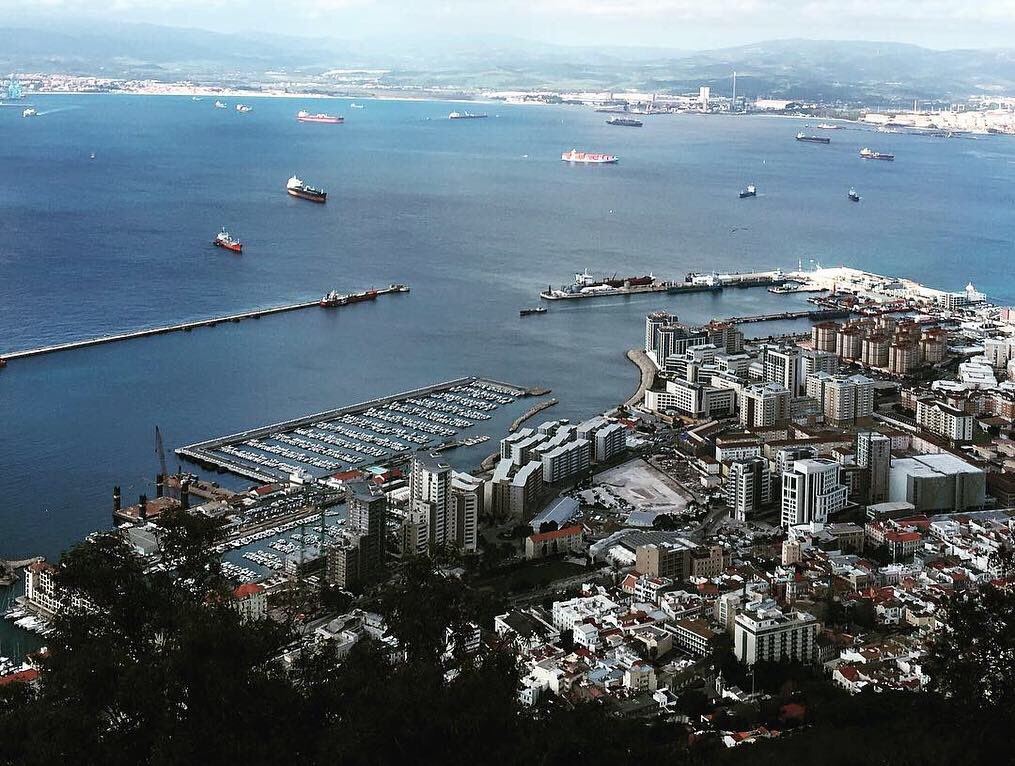 Zuidam UK Ltd tweet media