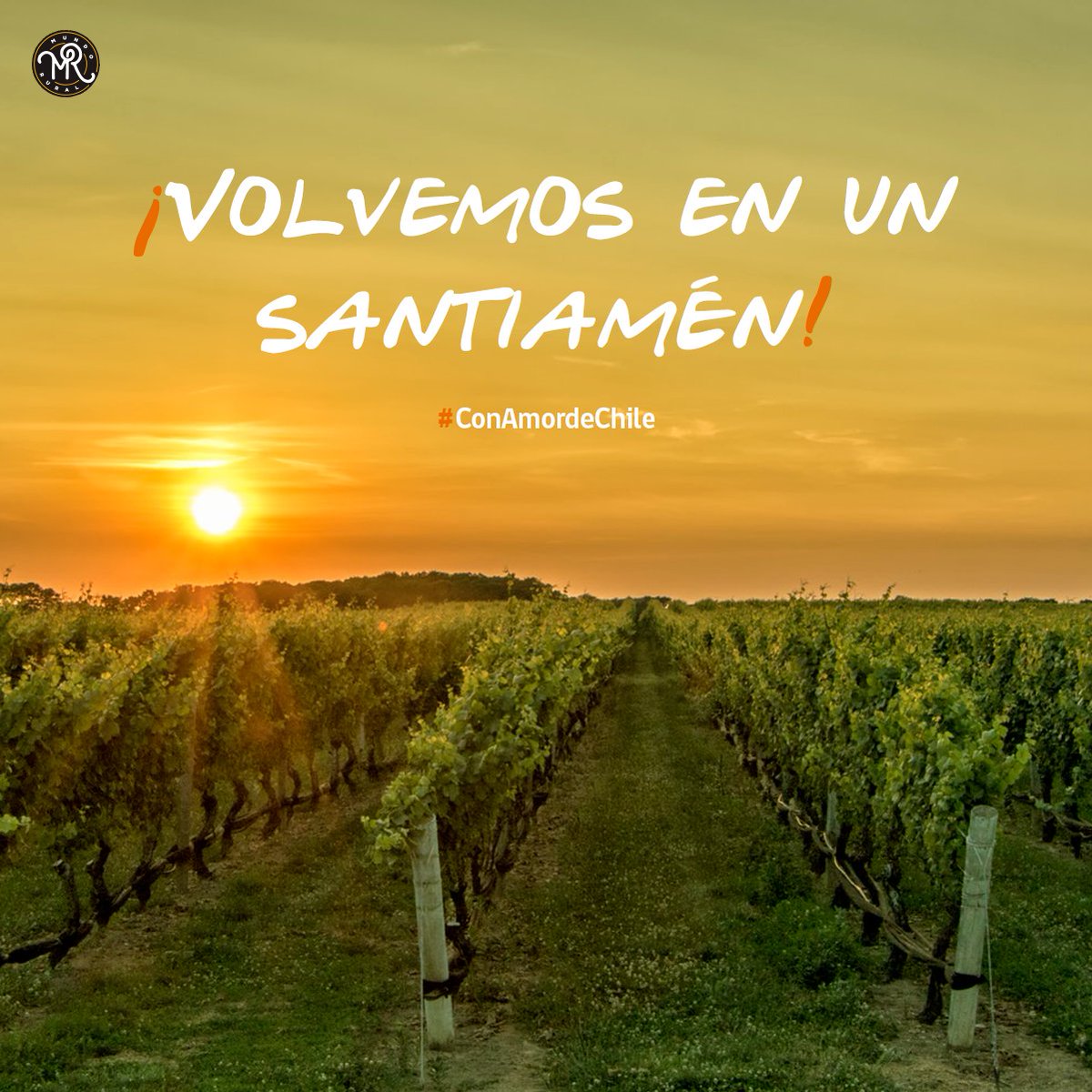 TiendaMundoRural tweet media