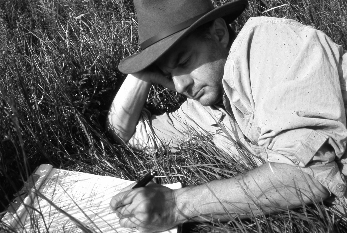 Applied Ecological tweet media