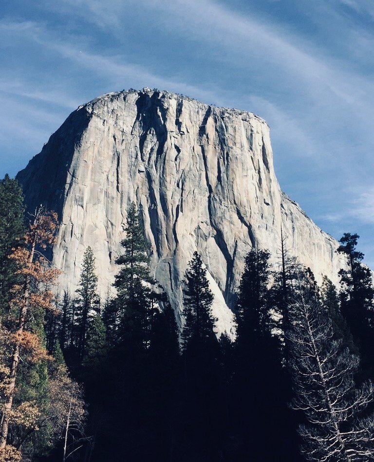 PATHprojects's tweet photo. Last week we visited Yosemite National Park. Still can’t believe how @AlexHonnold completed the first free solo climb of El Capitan's 3,000-foot vertical rock face. If you haven't seen the movie Free Solo yet, we highly recommend it! #elcap #elcapitan #pathprojects https://t.co/tGOPoTypgN