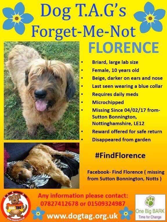 rosiedoc666's tweet image. WHERE IS FLORENCE #STOLEN after wandering from her garden 4/2/17 female #Briard 
‼️‼️‼️REWARD‼️‼️‼️💰 
#SuttonBonington #Notts CHIPPED she's around the size of a LABRADOR she had a slight limp when she was taken WHY did you take her? Her family NEED her home, her Mums 💔