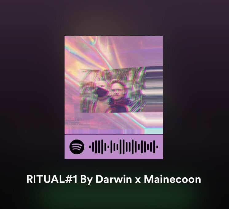 Mainecoonmusic tweet media